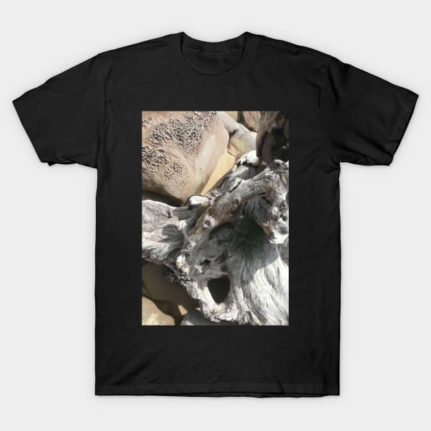 Weathered Rocks and Wood T-Shirt by rozmcq